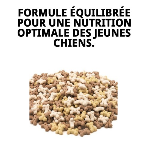 Biscuits Puppy 2 kg : Délicieux et nutritifs pour les chiens.