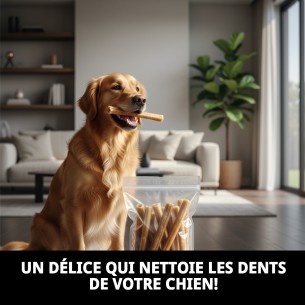 Barre de Cuir Naturel pour Chiens - Sac de 10 Unités 2