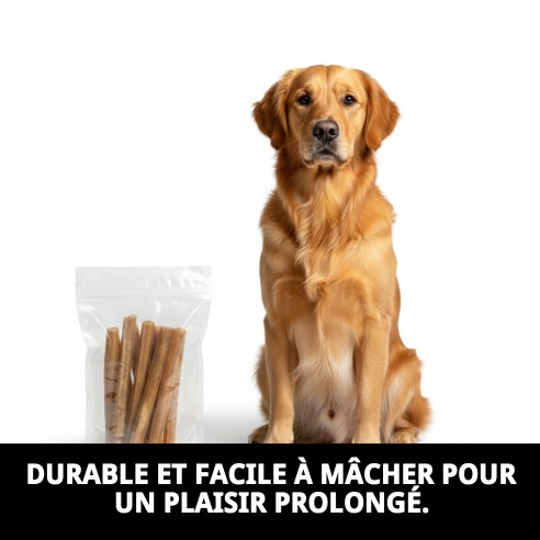Barre de Cuir Naturel pour Chiens - Sac de 10 Unités