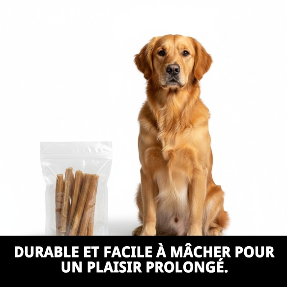 Barre de Cuir Naturel pour Chiens - Sac de 10 Unités