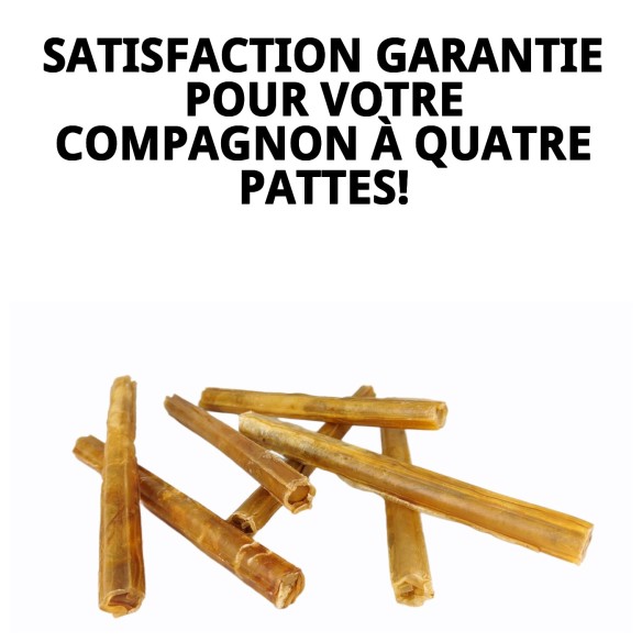 Barre de Cuir Naturel pour Chiens - Sac de 10 Unités