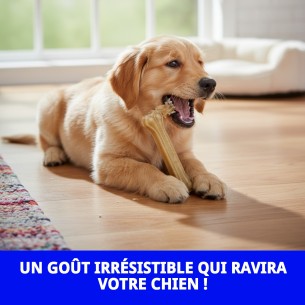 Os Prénés pour Chiens - Santé Dentaire et Saveur Irrésistible 2