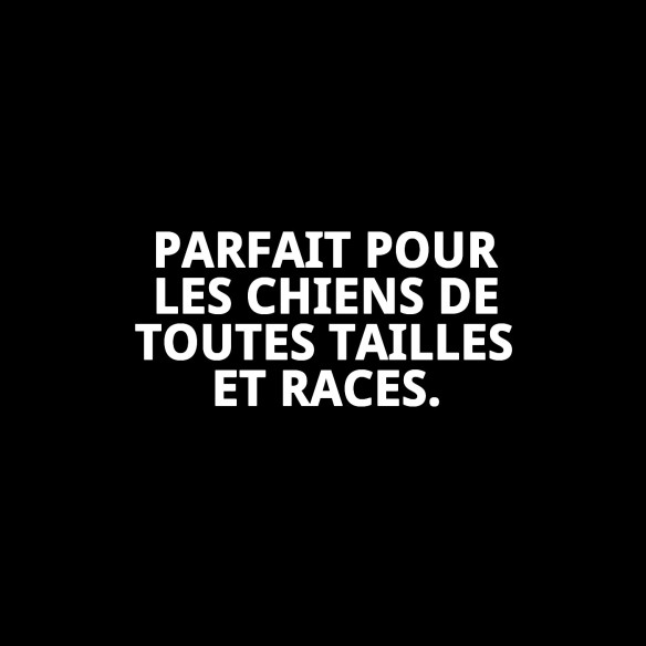 Os Prénés pour Chiens - Santé Dentaire et Saveur Irrésistible