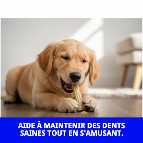 Os Prénés pour Chiens - Santé Dentaire et Saveur Irrésistible