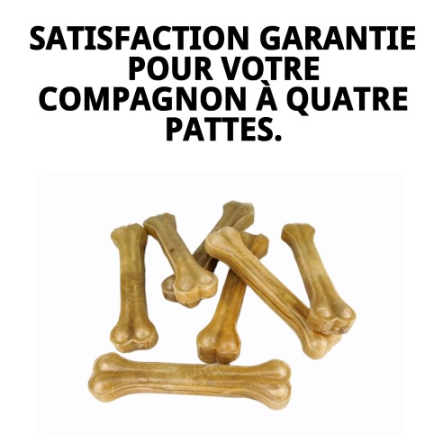 Os Prénés pour Chiens - Santé Dentaire et Saveur Irrésistible