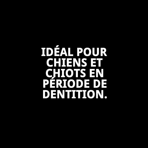 Os Précis pour Chiens : Santé Dentaire et Saveur Irrésistible
