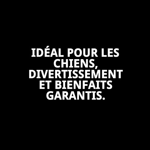 Os Prisés pour Animaux de Compagnie - Sac de 10 Unités