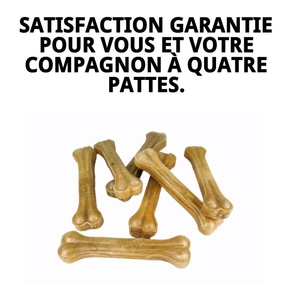 Os Prisés pour Animaux de Compagnie - Sac de 10 Unités