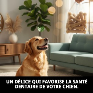 Os Précis en Vrac 5 Uds - Snack Sain pour Animaux de Compagnie 2