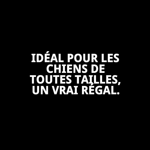 Barres de peau pour chiens Moly 13cm - Snack sain