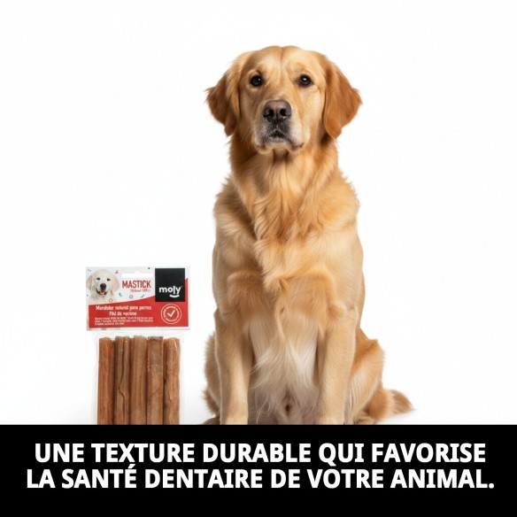 Barres de peau pour chiens Moly 13cm - Snack sain