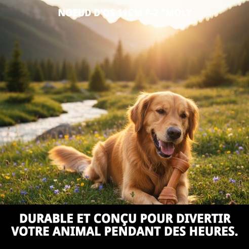 Os Nœud Moly 11 cm : Snack Sain pour Chiens
