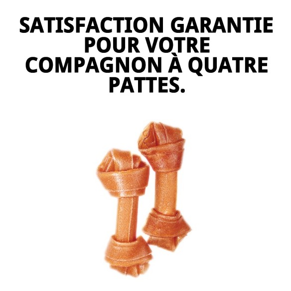 Os Nœud Moly 11 cm : Snack Sain pour Chiens