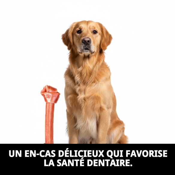 Os Nœud 26cm Moly : Snack Sain pour votre Chien
