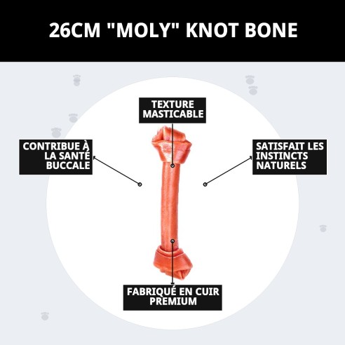 Os Nœud 26cm Moly : Snack Sain pour votre Chien