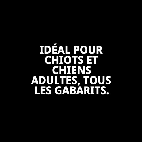 Os enchevêtré Moly 11 cm : Santé et Amusement pour votre Chien