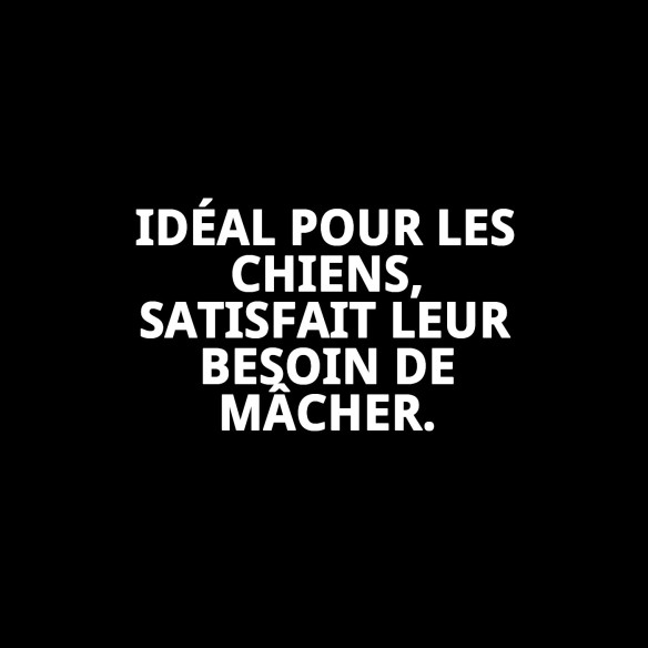 Os Précis Moly 16cm : Délice et Soin Dentaire pour Chiens