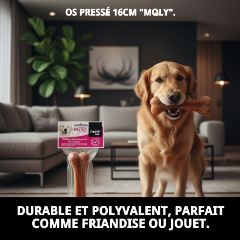 Os Précis Moly 16cm : Délice et Soin Dentaire pour Chiens