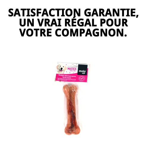 Os Précis Moly 16cm : Délice et Soin Dentaire pour Chiens