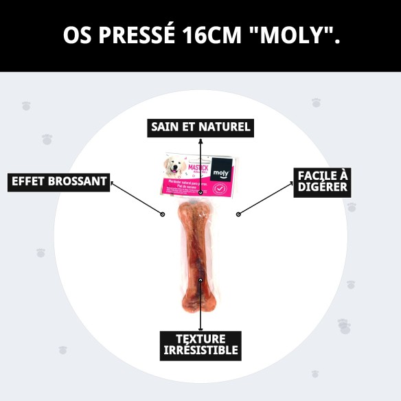 Os Précis Moly 16cm : Délice et Soin Dentaire pour Chiens