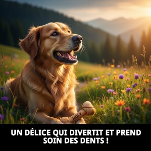 Os Précieux Moly 26 cm : Délice et Soin Dentaire pour Chiens 2