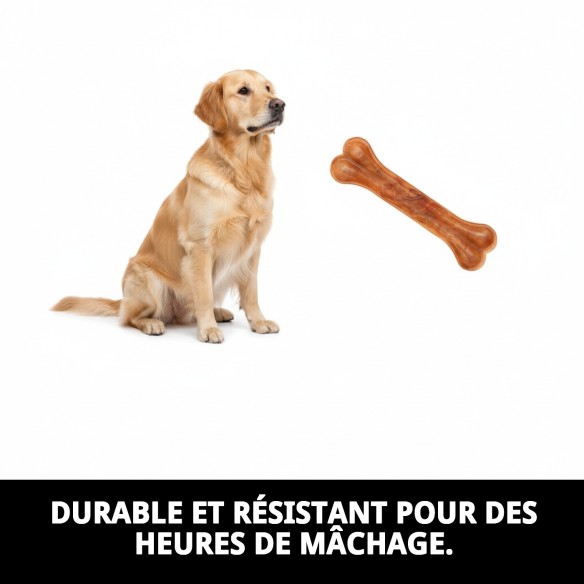 Os Précieux Moly 26 cm : Délice et Soin Dentaire pour Chiens