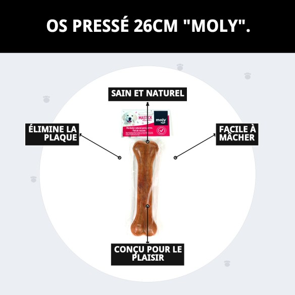 Os Précieux Moly 26 cm : Délice et Soin Dentaire pour Chiens