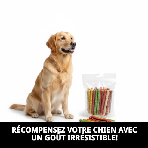 Bâtonnets Color B-100 : Délices pour votre chien