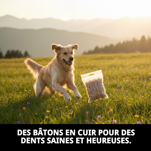 Bâtonnet en cuir 7/8MM - Sac de 100 unités pour animaux de compagnie