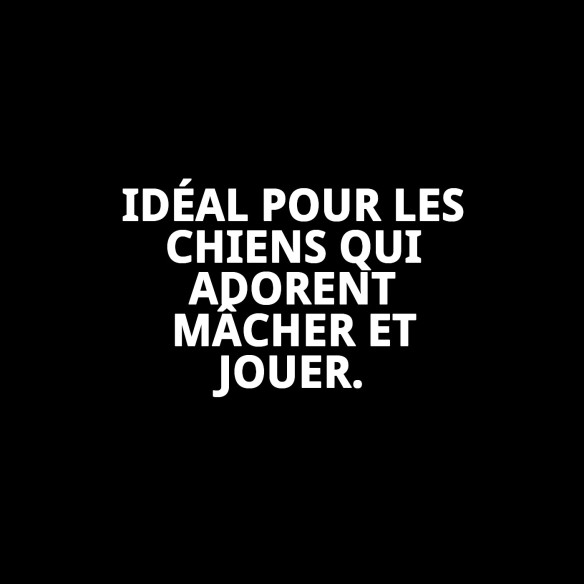 Bâtonnet en cuir 7/8MM - Sac de 100 unités pour animaux de compagnie