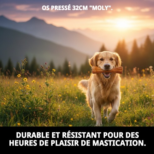 Os Précisé 32 cm Moly : Masticable Naturel pour Chiens