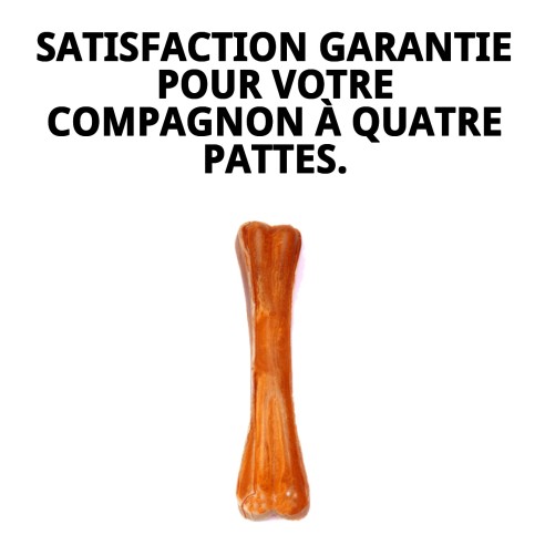 Os Précisé 32 cm Moly : Masticable Naturel pour Chiens