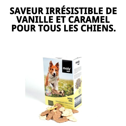 Biscuits Mini Mix Ferme pour Chiens - Saveur Vanille et Caramel