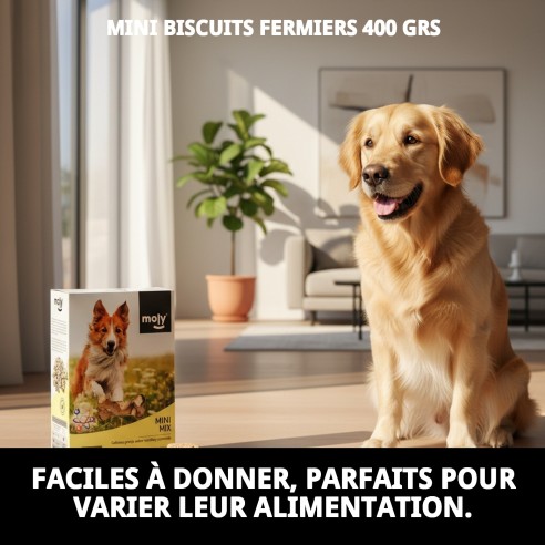 Biscuits Mini Mix Ferme pour Chiens - Saveur Vanille et Caramel