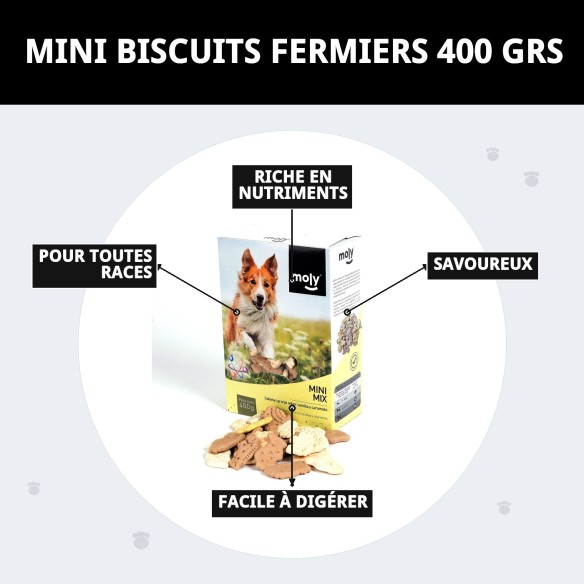 Biscuits Mini Mix Ferme pour Chiens - Saveur Vanille et Caramel