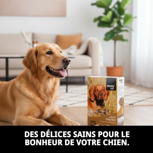 Biscuits Light Intégraux pour Chiens 400g - Santé et Saveur