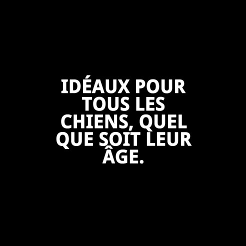 Biscuits Light Intégraux pour Chiens 400g - Santé et Saveur