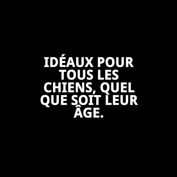 Biscuits Light Intégraux pour Chiens 400g - Santé et Saveur