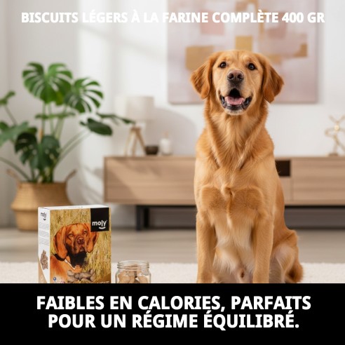 Biscuits Light Intégraux pour Chiens 400g - Santé et Saveur