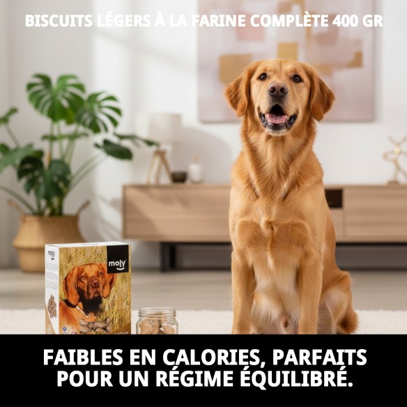 Biscuits Light Intégraux pour Chiens 400g - Santé et Saveur