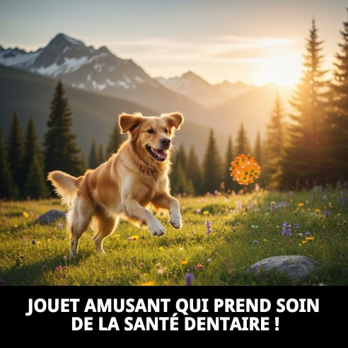 Balle Dentaire en Vinyle 8,5 cm : Jouet Idéal pour Animaux de Compagnie