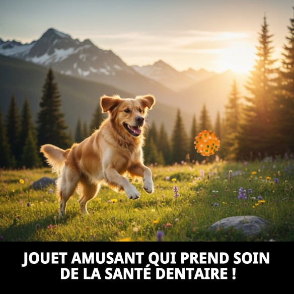 Balle Dentaire en Vinyle 8,5 cm : Jouet Idéal pour Animaux de Compagnie