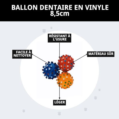 Balle Dentaire en Vinyle 8,5 cm : Jouet Idéal pour Animaux de Compagnie