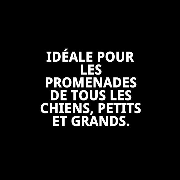 Correa en cuir Luxury 120 cm - Style et durabilité Moly