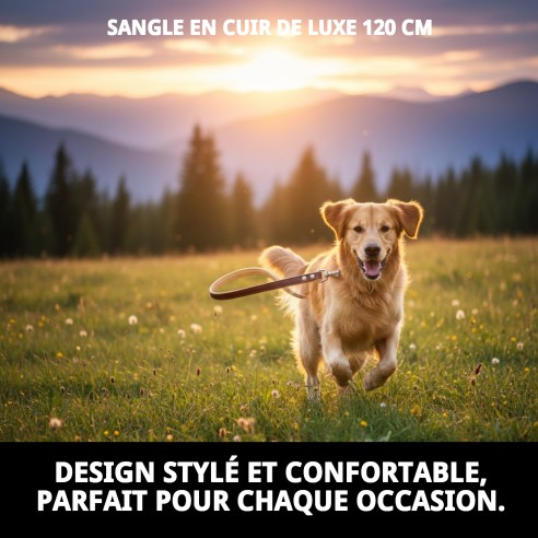Correa en cuir Luxury 120 cm - Style et durabilité Moly