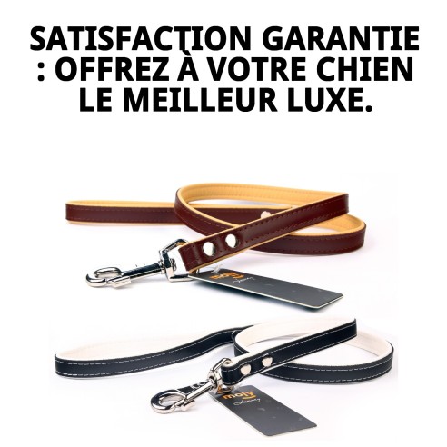 Correa en cuir Luxury 120 cm - Style et durabilité Moly