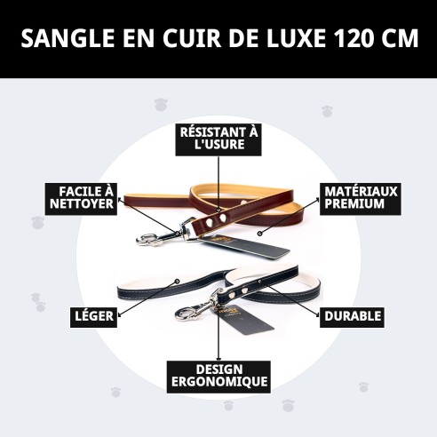 Correa en cuir Luxury 120 cm - Style et durabilité Moly