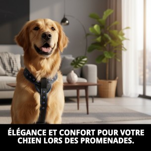 Harnais en cuir de luxe avec cristaux - 60 cm pour animaux de compagnie 2