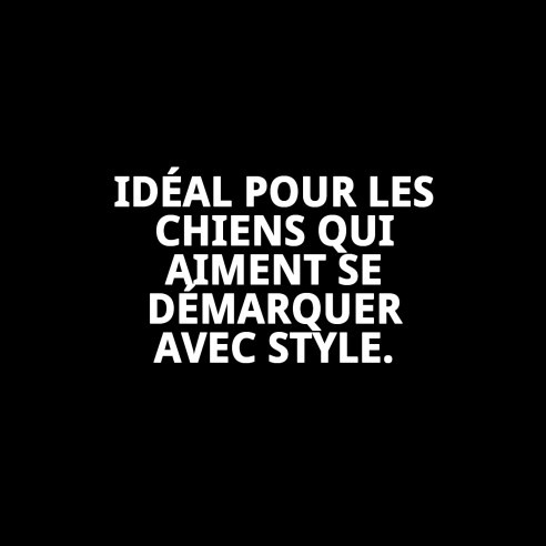 Harnais en cuir de luxe avec cristaux - 60 cm pour animaux de compagnie