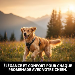 Harnais en Cuir Luxe avec Clous 60 cm - Style et Confort 2